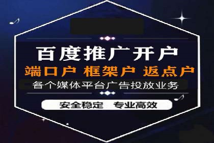 百度推广在电商行业的应用案例分析