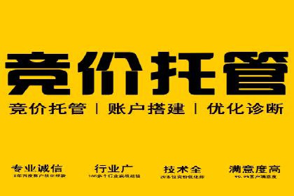 竞价推广与SEM托管双剑合璧——一则营销案例解析